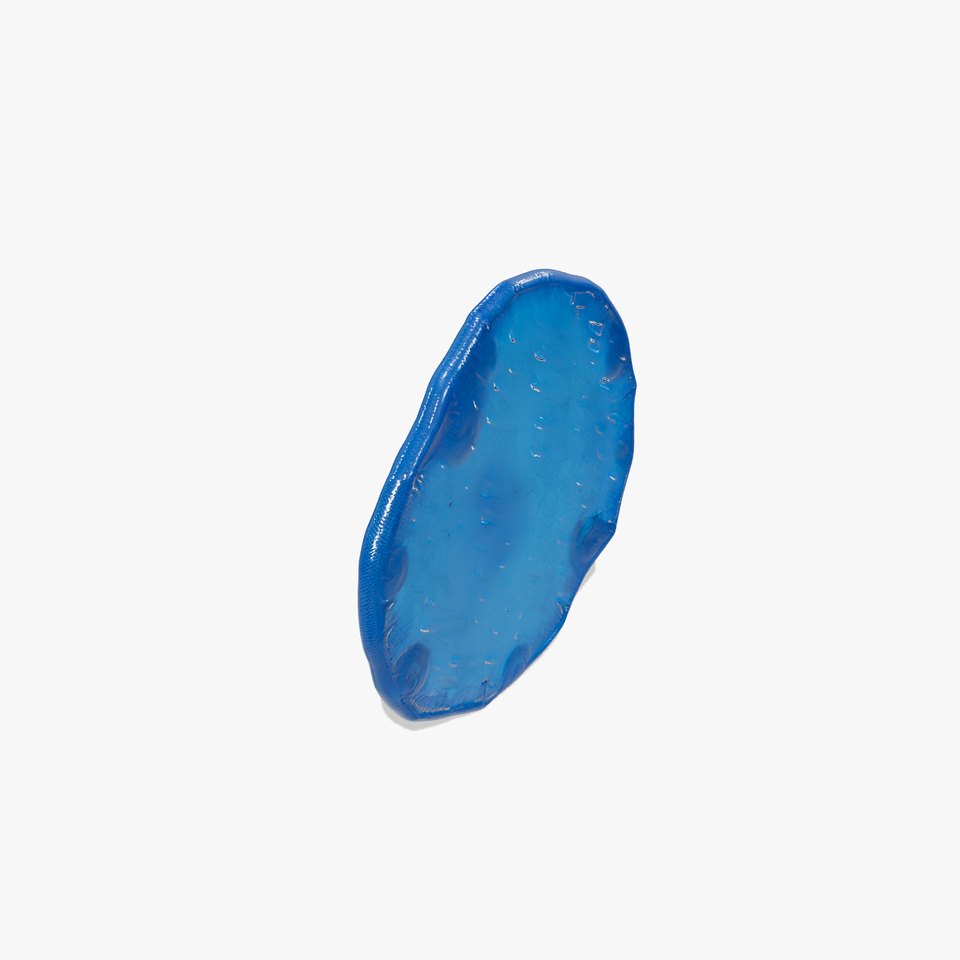 Aqua Ripple Disc model pack